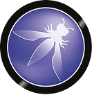 OWASP Mobile Top 10